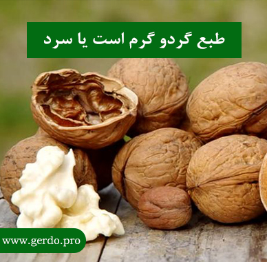 طبع گردو