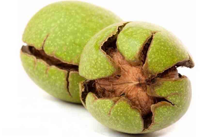 کاهش استرس با استفاده از گردو