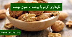 نگهداری گردو با پوست بهتر است یا بدون پوست