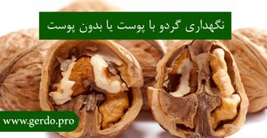 نگهداری گردو با پوست یا بدون پوست