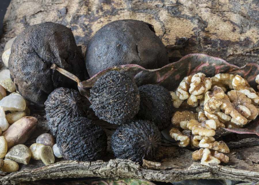 گردو سیاه