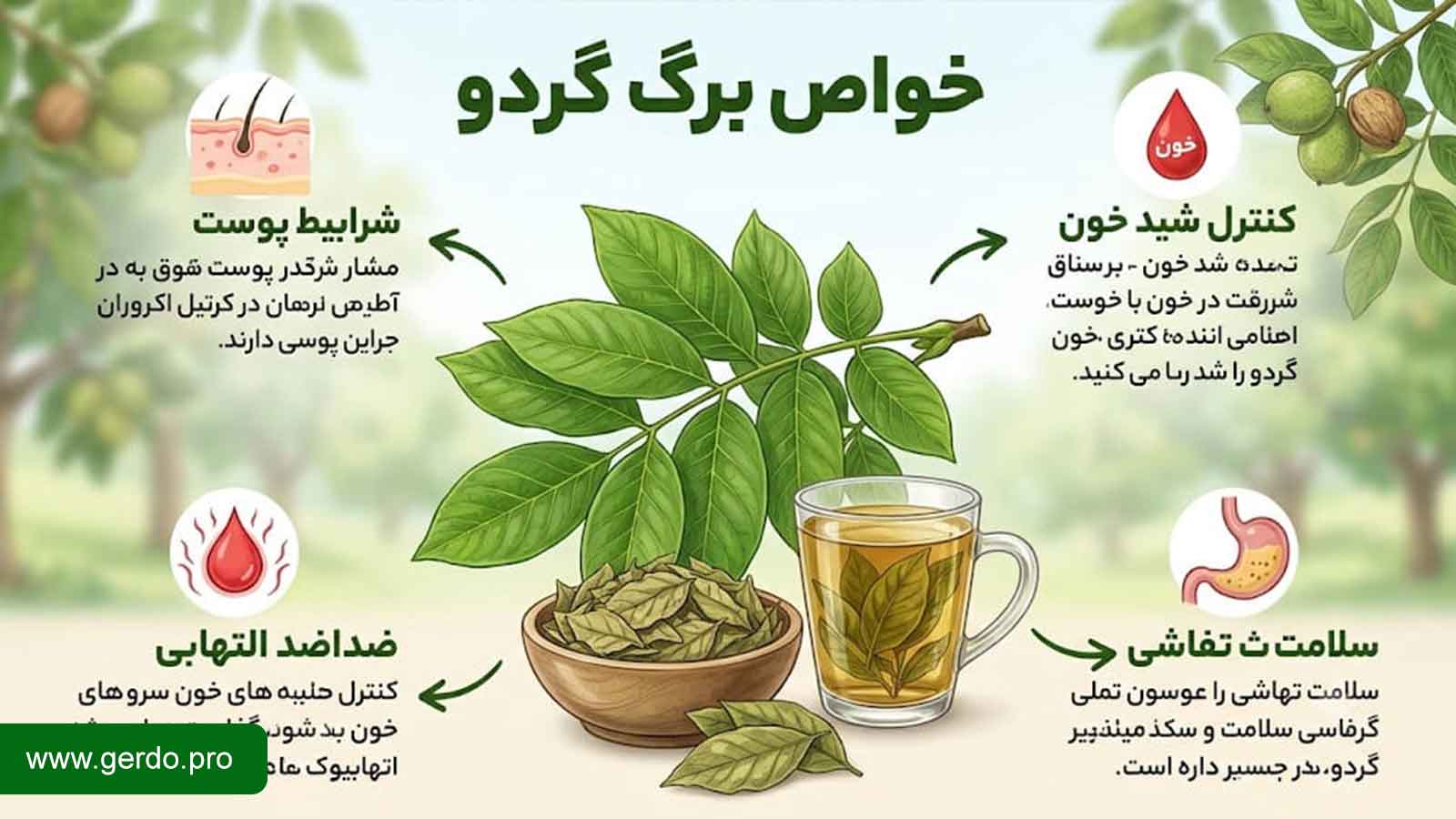 خواص برگ درخت گردو