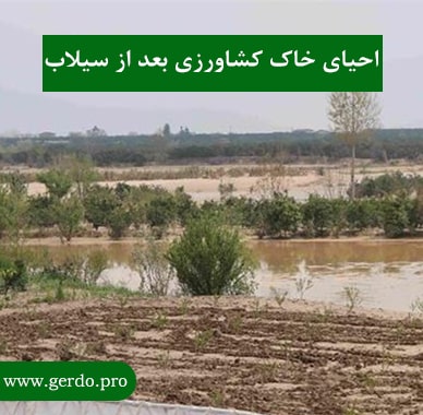 احیای خاک کشاورزی