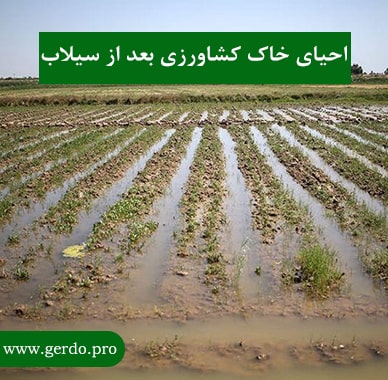 احیای خاک کشاورزی بعد از سیلاب