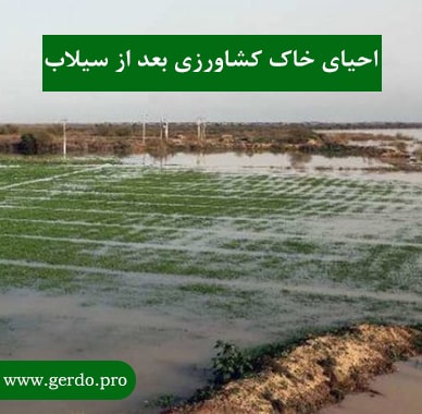 احیای خاک کشاورزی بعد از سیلاب