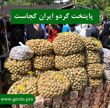 پایتخت گردو ایران