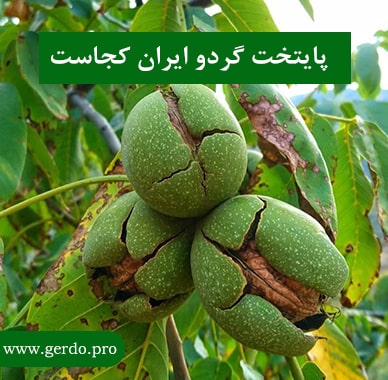 پایتخت گردو ایران