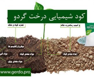 کود شیمیایی درخت گردو