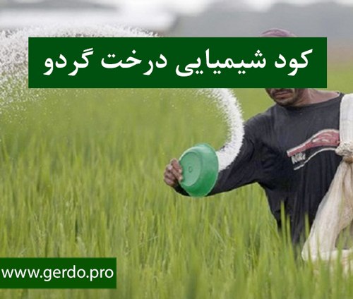 کودشیمیایی درخت گردو