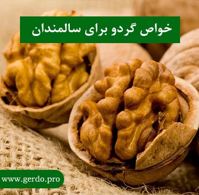 خواص گردو برای سالمندان