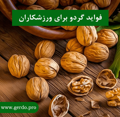 فواید گردو برای بدنسازی