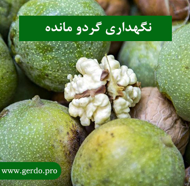 نگهداری گردو مانده