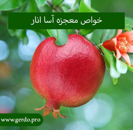 خواص انار