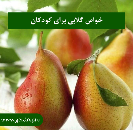 خواص گلابی برای کودکان