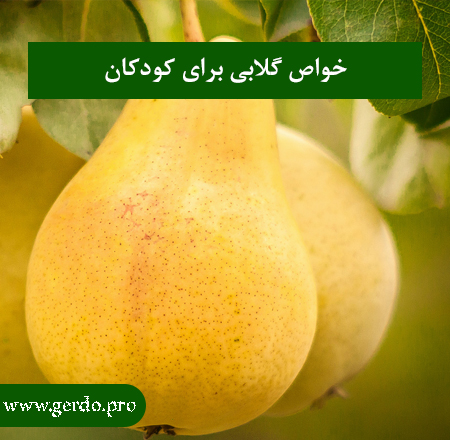خواص گلابی برای کودکان