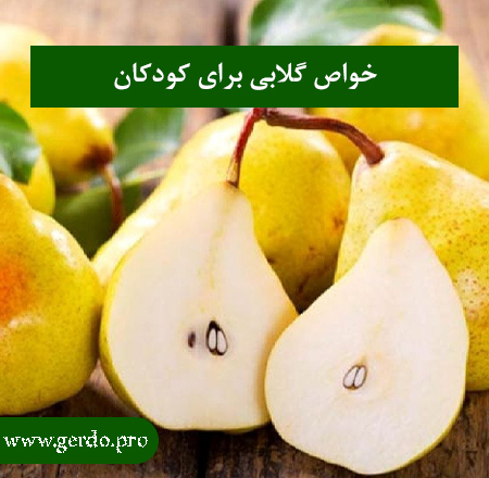 خواص گلابی برای کودکان