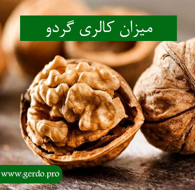 کالری گردو چقدر است
