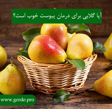 تاثیر گلابی در درمان یبوست