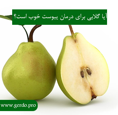 آیا گلابی برای یبوست مفید است؟