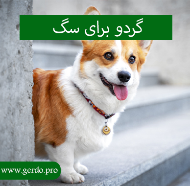 گردو برای سگ