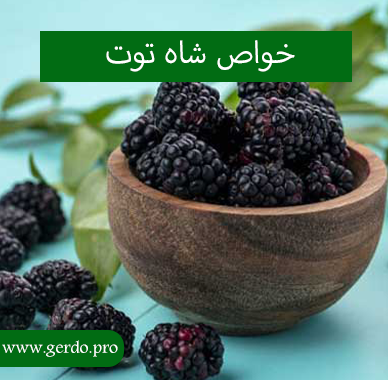 خاصیت شاه توت