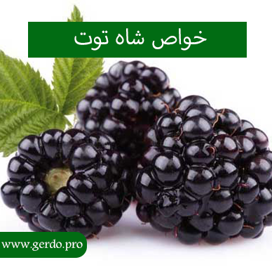 خواص شاه توت