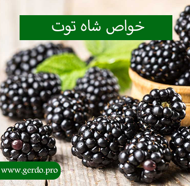 فواید بی نظیر شاه توت