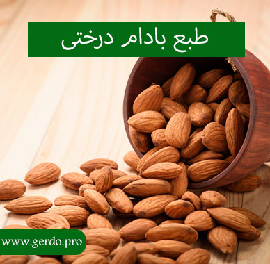 طبع بادام درختی چیست