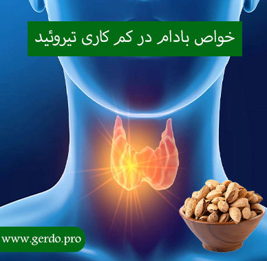 خواص بادام برای کم کاری تیروئید