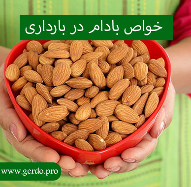 خواص بادام در بارداری