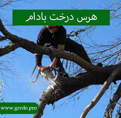 هرس نهال بادام