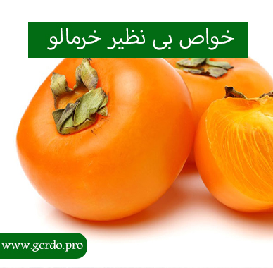 خاصیت بی نظیر خرمالو