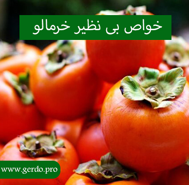 خواص بی نظیر خرمالو