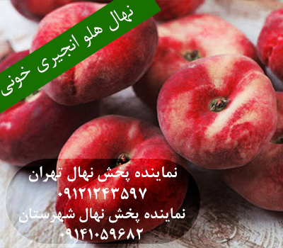 خرید نهال هلو انجیری خونی