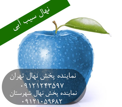 خرید نهال سیب آبی