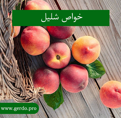 خواص شلیل