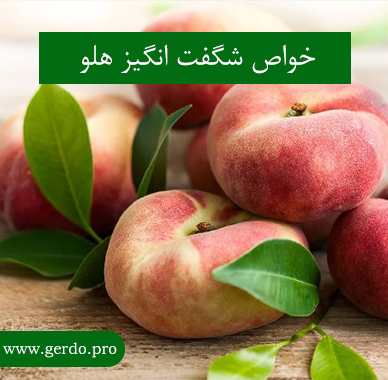 خاصیت هلو