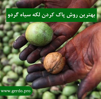 پاک کردن لکه سیاه گردو از روی دست