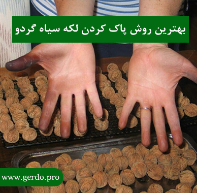 بهترین روش پاک کردن لکه سیاه گردو