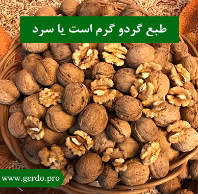 طبع گردو 