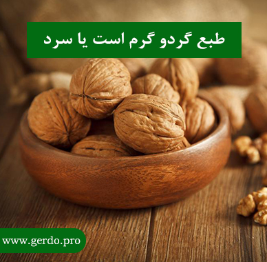 طبع گردو گرم است یا سرد