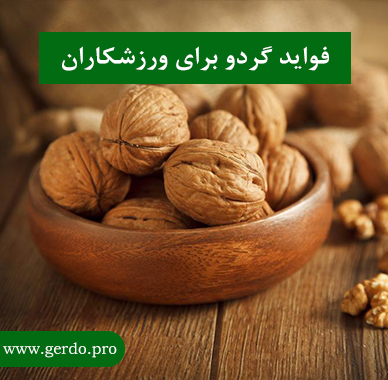 فواید گردو برای بدنسازی
