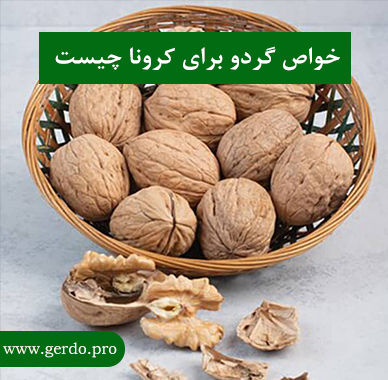 خاصیت گردو برای کرونا