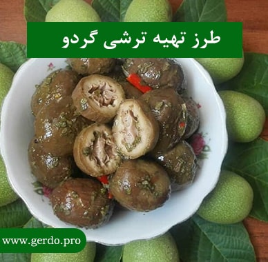 طرز تهیه ترشی گردو