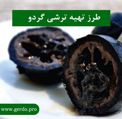 طرز تهیه ترشی گردو