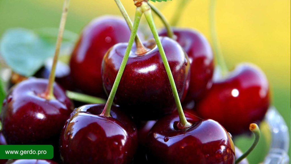 خواص گیلاس برای کم خونی