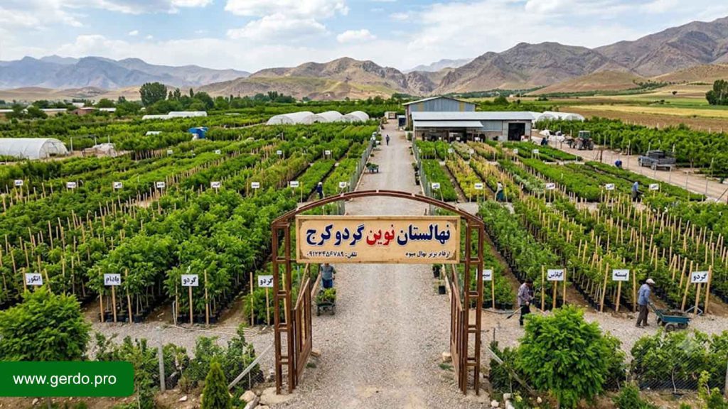 خرید نهال در کرج