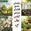 راه های افزایش باردهی نهال گیلاس