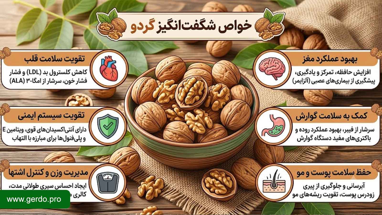 خواص گردو