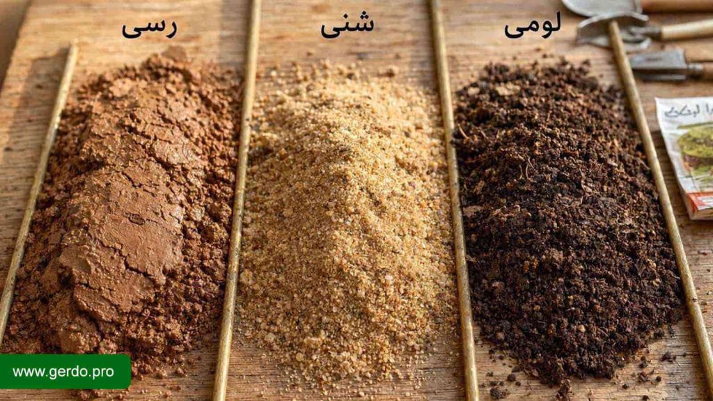 تاثیر نوع خاک بر رشد و استقرار نهال گردو